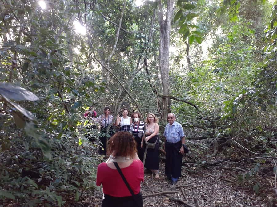 Diani Beach: Kaya Kinondo cultural and nature experience - Price and logistics: the real value of a $42, 4 hour tour