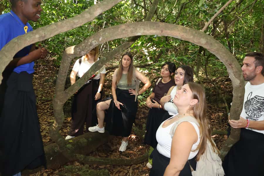 Diani Beach: Kaya Kinondo cultural and nature experience - Who should book this Kaya Kinondo experience, and who should skip it