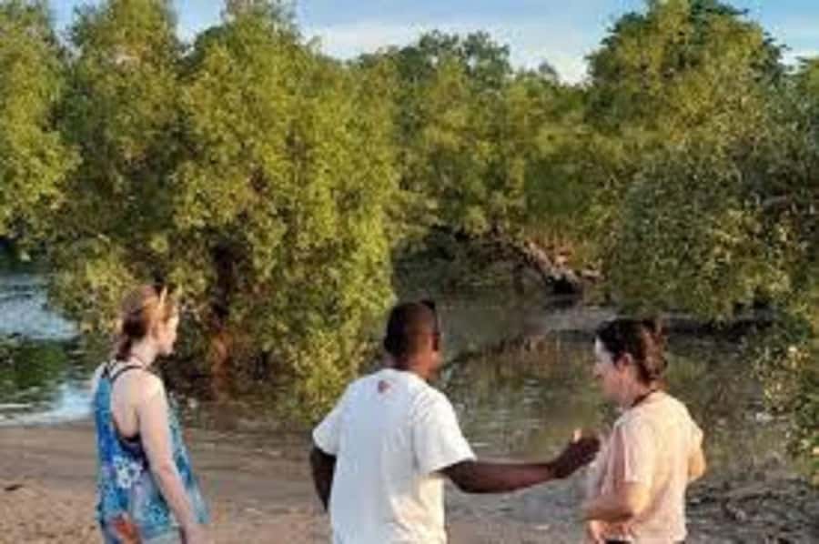 Diani Beach: Kongo River Estuary Sundowner Boat Tour - Kongo River Estuary Sundowner, Diani Beach: The big idea