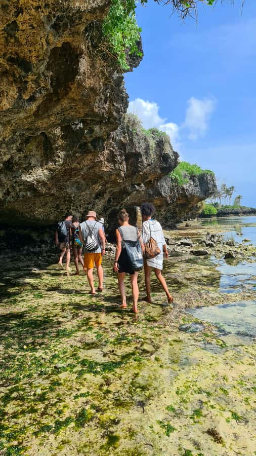 Diani Beach: Private African Pool Map Guided Tour - Practical Stuff: What to Bring, How to Stay Comfortable, and Simple Strategy