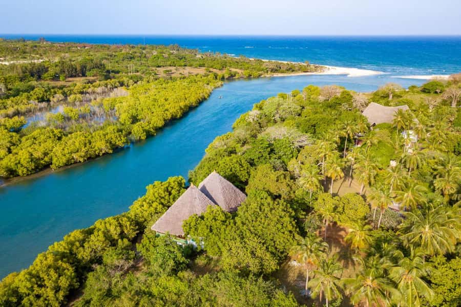 Diani Beach: Sunset Dhow Cruise with Dinner - Key highlights worth centering your evening
