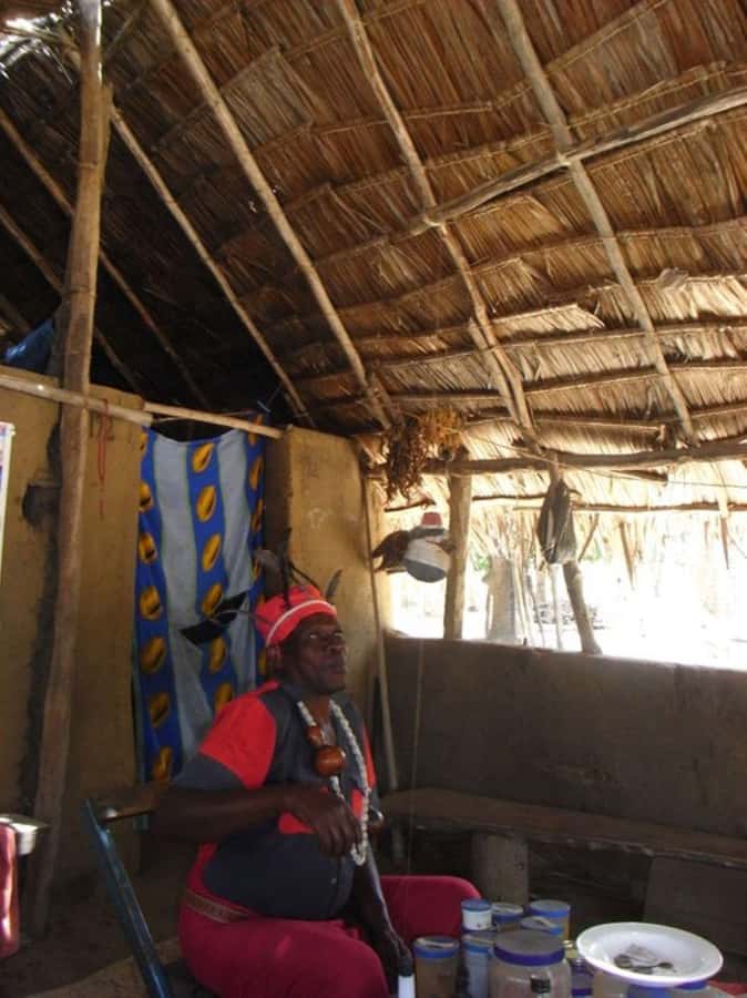 Diani bush tour - Bush Doctor Stop: Herbs, Roots, and Respectful Questions