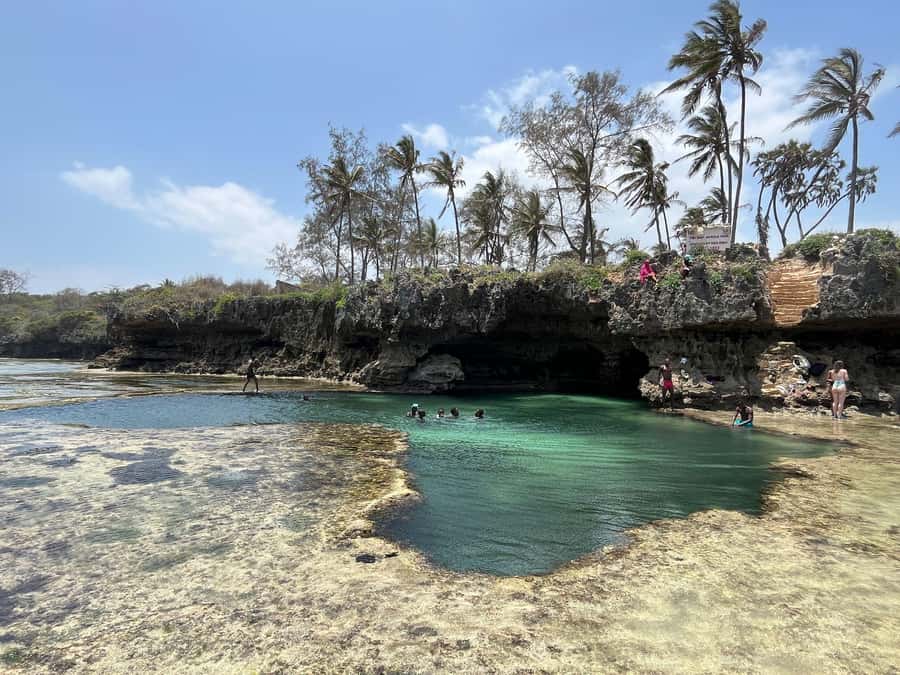 Diani: Full day Guided tour in Tiwi beach & Diani - Reef walk at Tiwi Beach side: close marine life, with the right gear