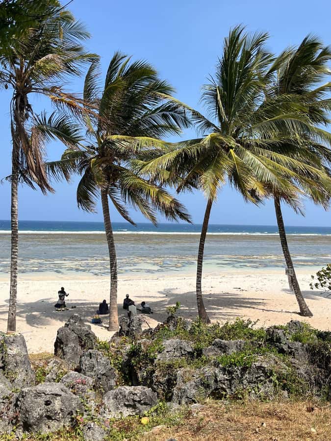 Diani: Full day Guided tour in Tiwi beach & Diani - Getting from Diani to Tiwi: tuk-tuk, a river crossing, and motorbike time