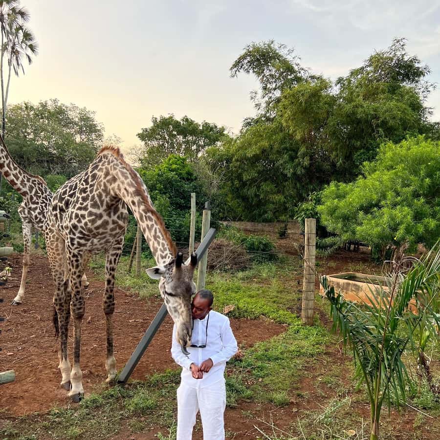DIANI: SHARE A MEAL WITH GIRAFFES - Key highlights worth planning around