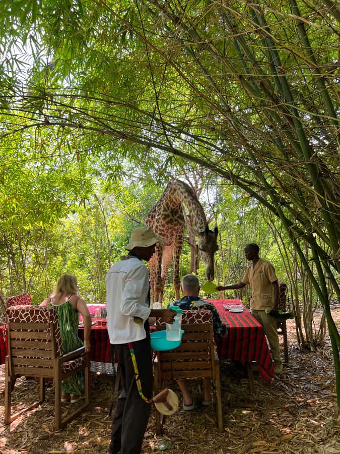 DIANI: SHARE A MEAL WITH GIRAFFES - Traditional dance stop and the cash-and-shopping moment
