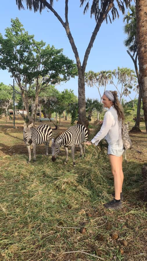 DIANI: SHARE A MEAL WITH GIRAFFES - Who this tour suits best, and who should reconsider