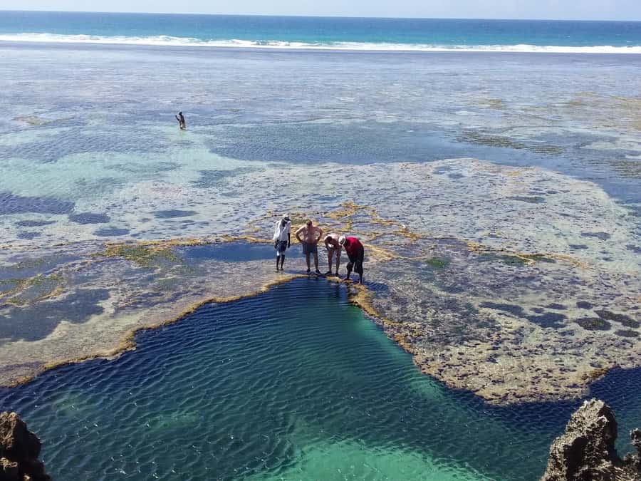 Diani: Snorkeling and Swimming at African Pool in Tiwi Beach - Walking the reef and getting your bearings