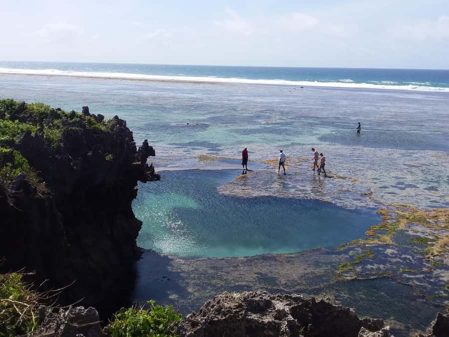 Diani: Snorkeling and Swimming at African Pool in Tiwi Beach - Back on Tiwi Beach: shade, Swahili snacks, and a relaxed finish