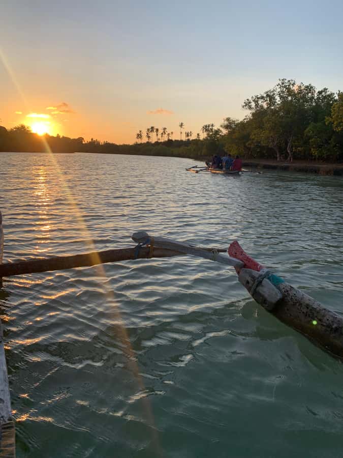 Diani: Sunset Canoe Tour along the River with Mangroves - Kongo River Beach Paddle: Mangroves, Villagers, and Wildlife