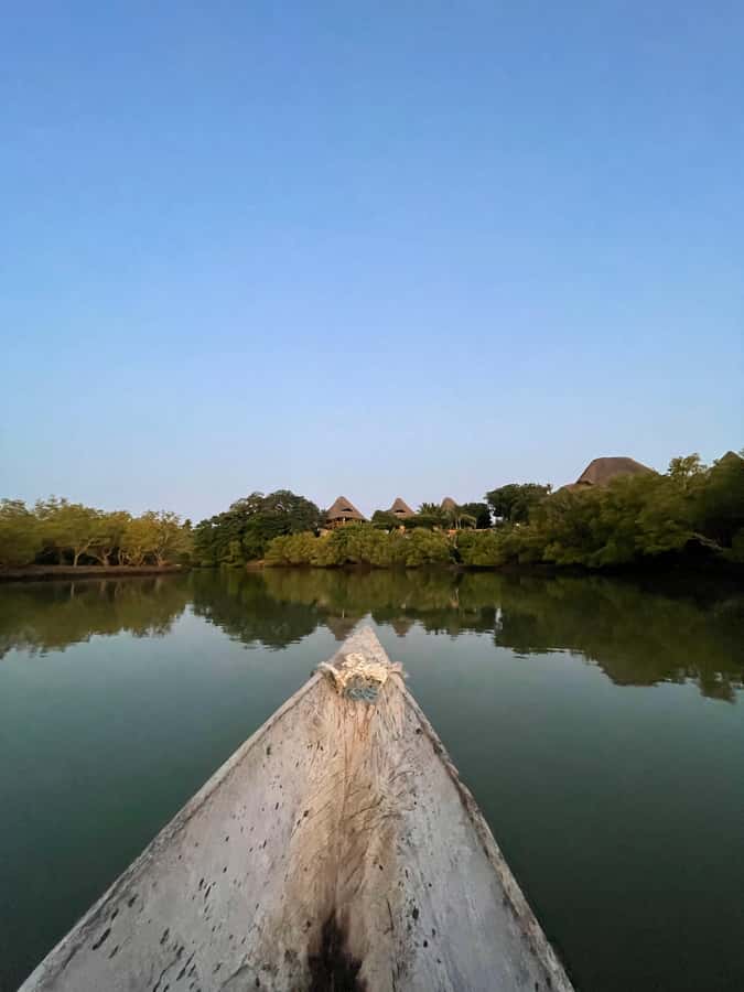 Diani: Sunset Canoe Tour along the River with Mangroves - Omari’s Storytelling: History, Birds, and Why This Place Matters