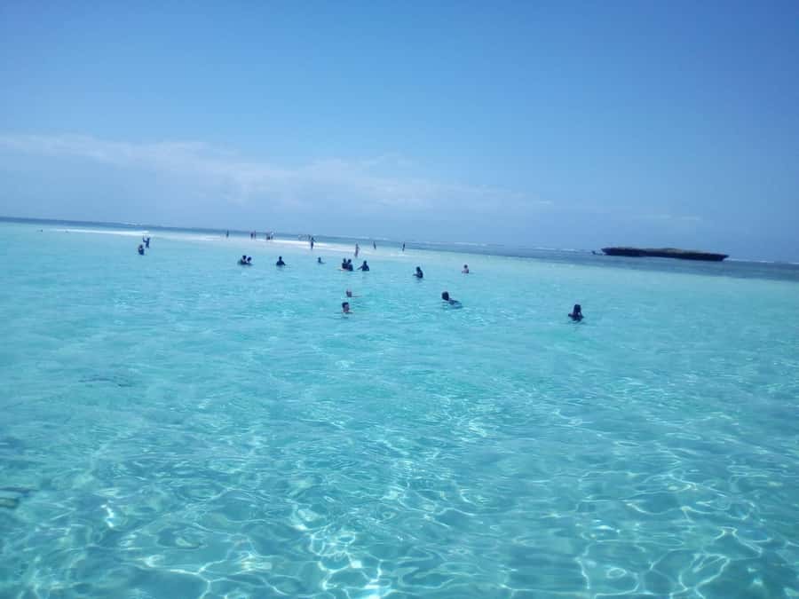 Diani: Wasini Island Dolphin Watching and Snorkeling Tour - Diani to Shimoni: the early start that sets the whole day