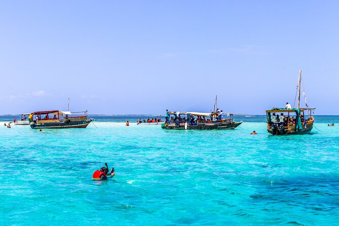 Dolphin Watch & Snorkeling at Kisite Marine Park & Wasini Island - Key highlights