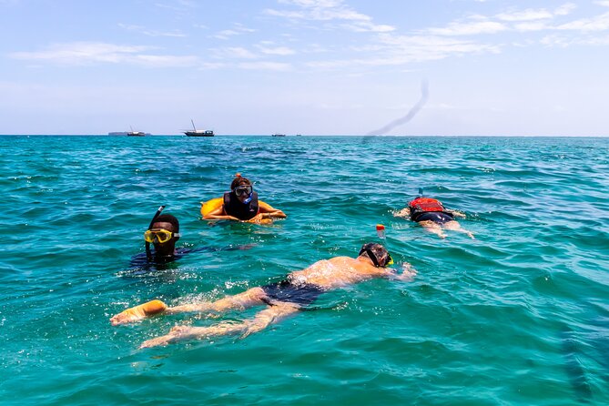 Dolphin Watch & Snorkeling at Kisite Marine Park & Wasini Island - Kisite-Mpunguti by dhow: the snorkel part and how to time your expectations
