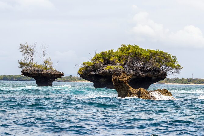 Dolphin Watch & Snorkeling at Kisite Marine Park & Wasini Island - Shimoni slave caves: the optional history stop you should plan for