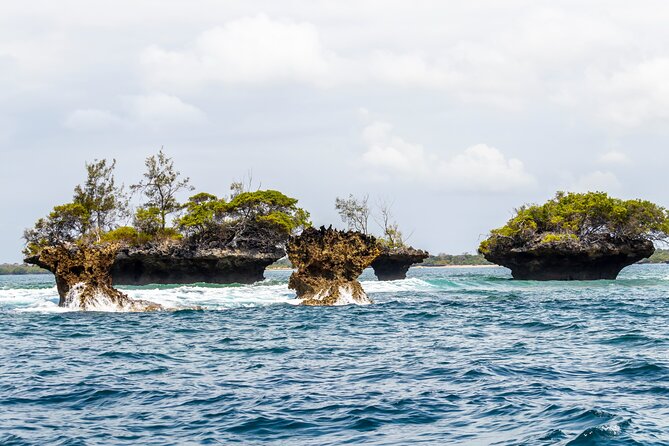 Dolphin Watch & Snorkeling at Kisite Marine Park & Wasini Island - Who this tour is best for, and who should skip it