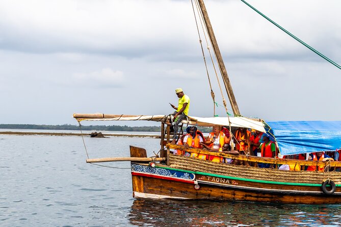 Dolphin Watch & Snorkeling at Kisite Marine Park & Wasini Island - Dolphins and whales: what you can realistically expect