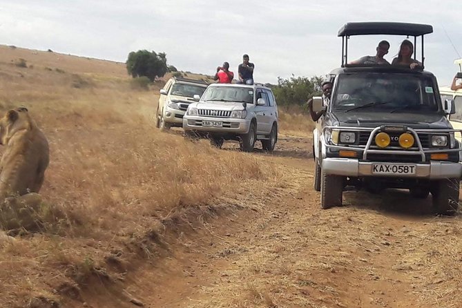 Early Morning Group Joining Mini Safari To Nairobi National Park - Pickup, group size, and the guide factor