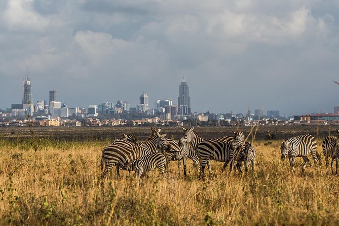 Early Nairobi Park Giraffe Centre and Optional Elephant Orphanage - 6:00 am Pickup and Nairobi National Park Game Drive