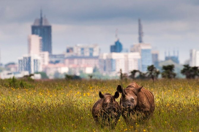 Early Nairobi Park Giraffe Centre and Optional Elephant Orphanage - Price and Value: What $155 Covers, and What Costs Extra