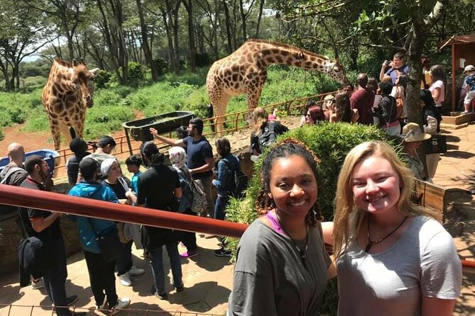 Elephant Orphanage and Giraffe Center Nairobi Day Tour - Stop 1: David Sheldrick Elephant Orphanage, timed to the 11:00 am window