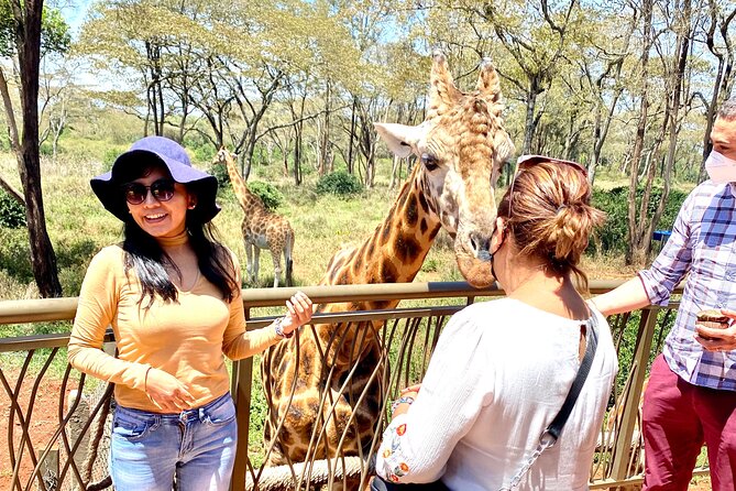 Elephant Orphanage and Giraffe Center Nairobi Day Tour - Why a private tour feels calmer, especially with timed entries
