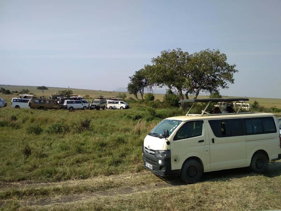 Elephant Orphanage,Giraffe Center&Karen Blixxen Day TripTour - Should you book? My honest call
