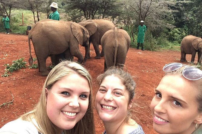 Elephant Orphanage, Giraffe Centre& optional Nairobi NationalPark - Tips so you get smoother encounters (and fewer headaches)