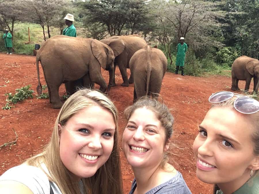 Elephant Orphanage Trust, Giraffes & Bomas of Kenya Day Tour - Who this tour suits best