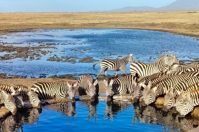 Elky Tours 2 Days Tsavo East Tour - Key highlights at a glance