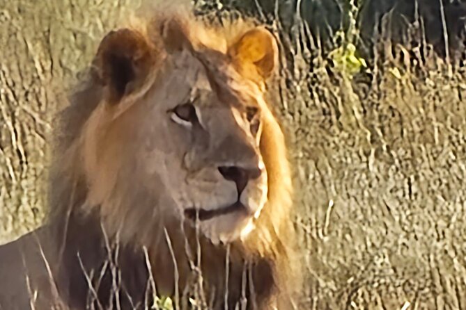 Elky Tours 2 Days Tsavo East Tour - The drive from Diani, and why the early start matters