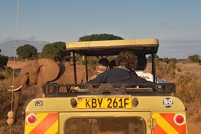 Elky Tours 2 Days Tsavo East Tour - Day 2: Early coffee, a short morning drive, then breakfast and exit viewing