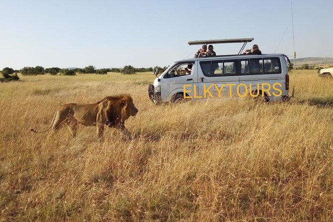 Elkydianibeachtaxis - Meet-and-greet: how you find your driver fast