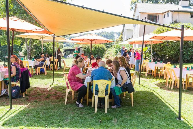 Excursion to Kiambethu Tea Farm - Why Kiambethu Tea Farm works well as a Nairobi day trip