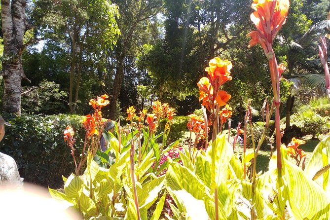 Excursion to Kiambethu Tea Farm - Seeing day-to-day life around the area