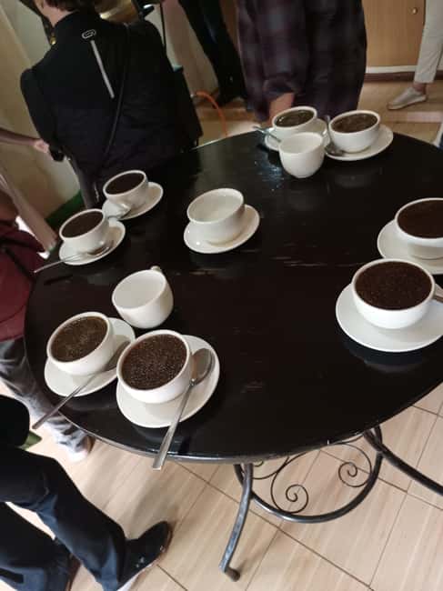 FAIRVIEW COFFEE FARM DAY TOUR - Guided farm walk: seeing Kenyan coffee up close with Elvis and Faith