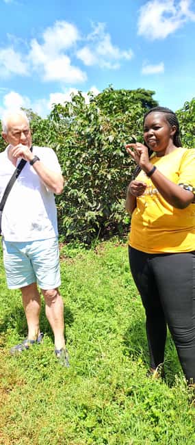FAIRVIEW COFFEE FARM DAY TOUR - Price and value: is $82 worth it for a 2-hour coffee show?