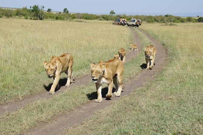 Family & Friends safari Full package . - Lake Naivasha and Crescent Island: Swapping Savannah for Water Views