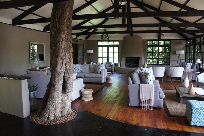Family & Friends safari Full package . - Maasai Mara Days 4 and 5: Lions, Leopards, and the Big-Names Safari Feel
