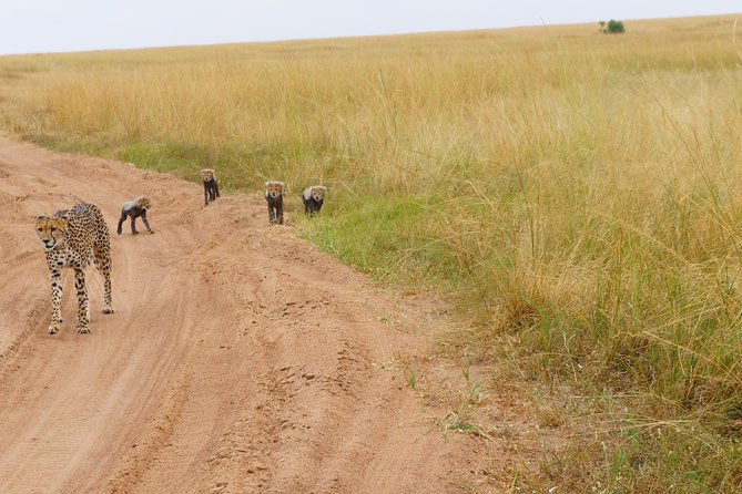 Family & Friends safari Full package . - The Transition Day to Diani Beach: Travel Time With a Purpose