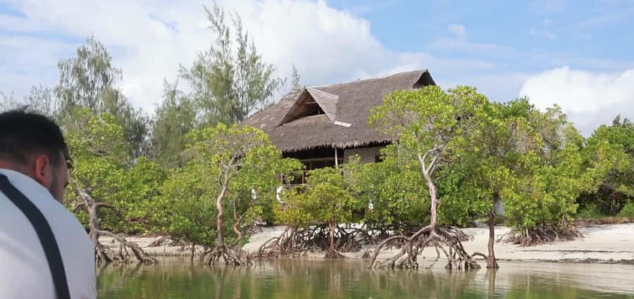 From Diani Beach: Funzi Island Full Day Excursion with Lunch - Funzi Village Walk: Culture You Can Actually See