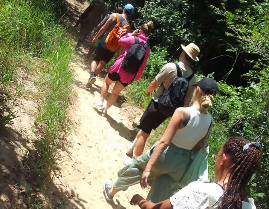 From Diani: Full Day Shimba hills tour with Sheldrick Falls - Key highlights you will actually care about