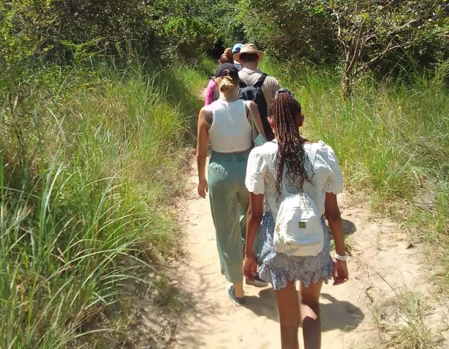 From Diani: Full Day Shimba hills tour with Sheldrick Falls - The morning game drive: sable antelope, elephants, and more