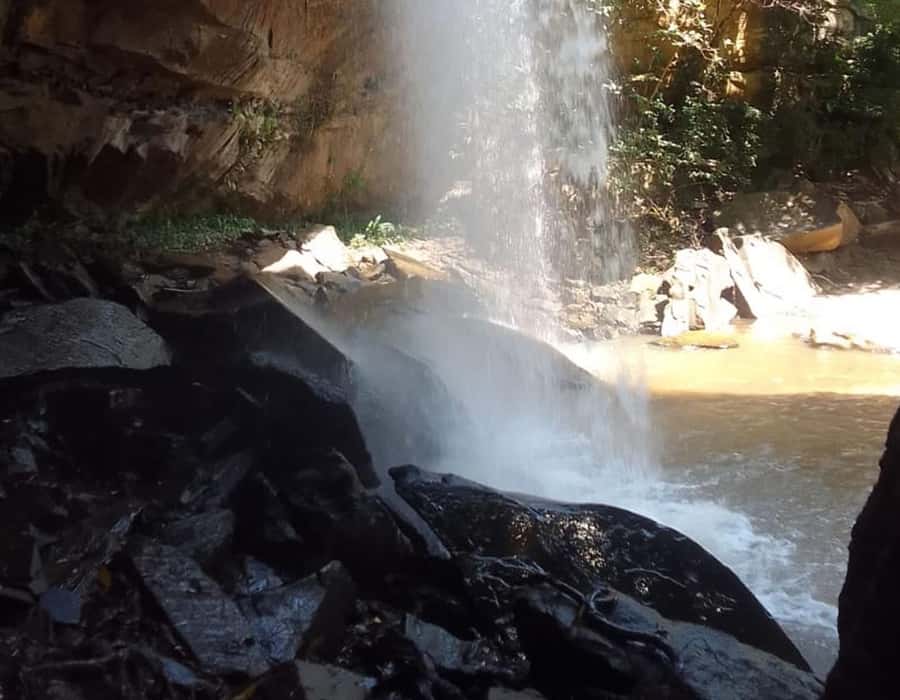 From Diani: Full Day Shimba hills tour with Sheldrick Falls - Lunch at Shimba Green Lodge, and what not to assume