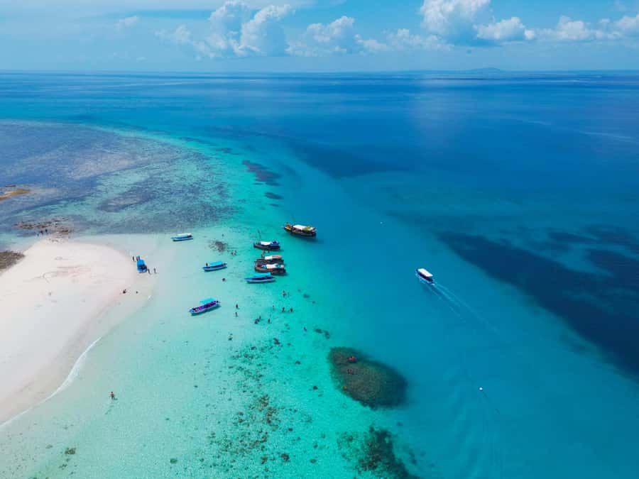 From Mombasa: Kisite Mpunguti Marine Park and Wasini Island - Wasini Island: lunch, dhow-style time, and a village walk