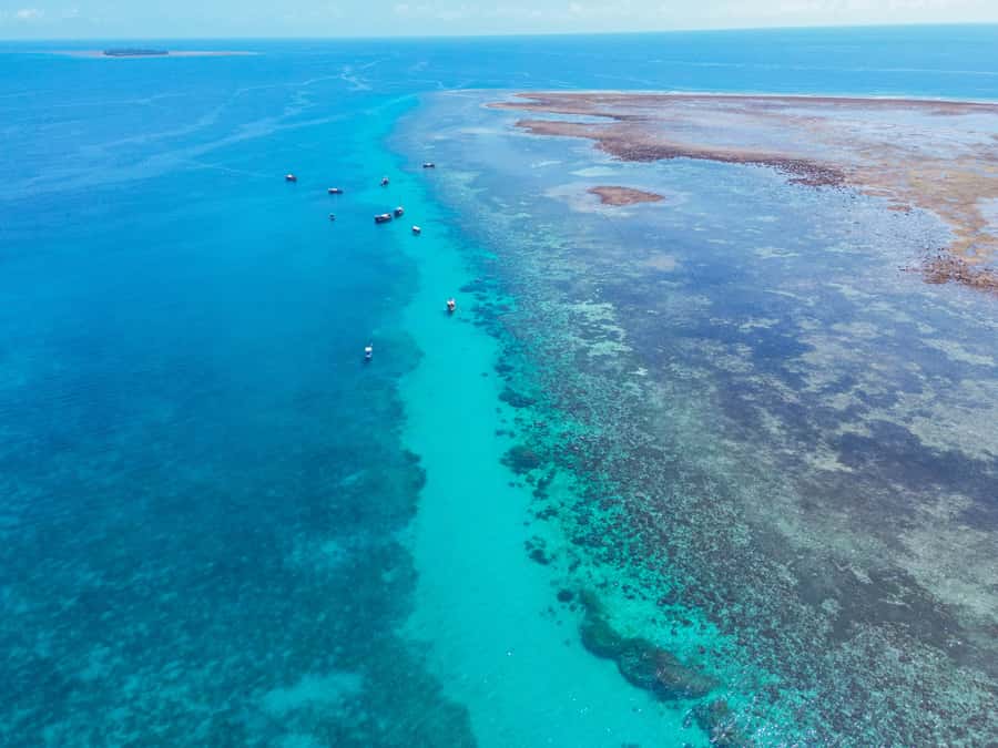 From Mombasa: Kisite Mpunguti Marine Park and Wasini Island - Who this tour fits best, and who should skip it
