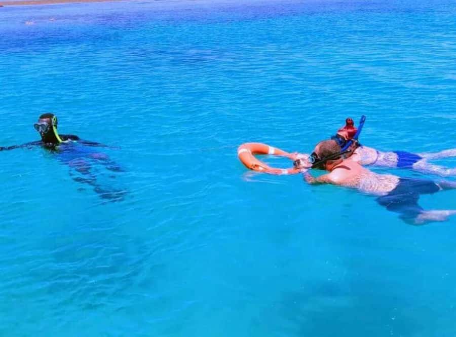 From Mombasa: Kisite Mpunguti Marine Park and Wasini Island - What to bring for a smooth Kisite and Wasini day