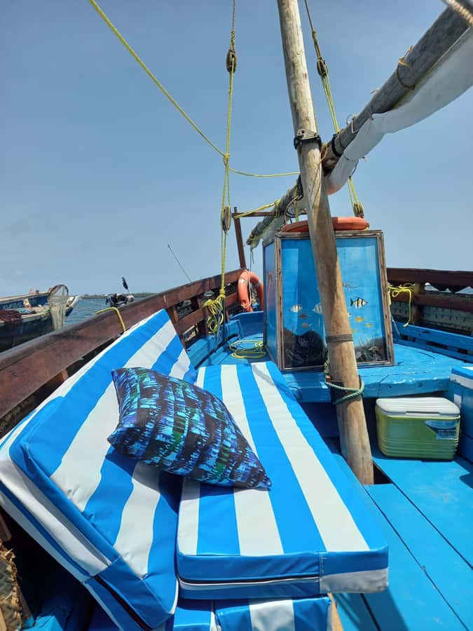 From Mombasa: Kisite Mpunguti Marine Park and Wasini Island - The dolphin hour: what you are really signing up for