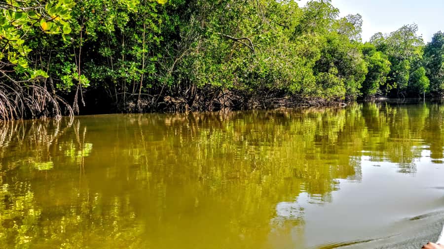 From Mombasa: Watamu Marine Park & Sudi Island Excursion - Key things that make this trip worth your time