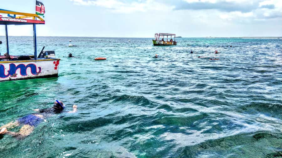 From Mombasa: Watamu Marine Park & Sudi Island Excursion - Dolphin spotting from Watamu Bay, with the season you need to know